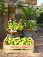 Il Ciel Bio pommes